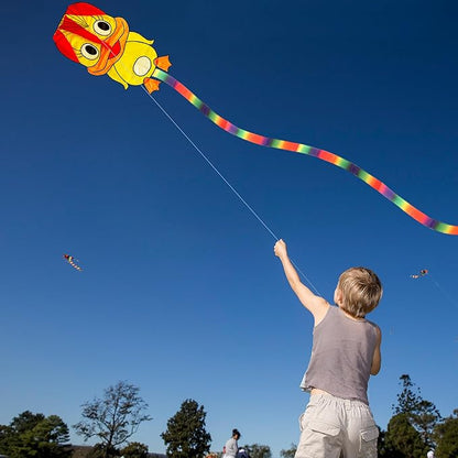 Duck Pattern Kites for Kids, Cute Large Kite Duck Kite with Long Colorful Tail for Kids & Adults, Easy to Fly Kite for Beginners Outdoor Activities