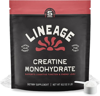 Micronized Creatine Monohydrate with Sea Salt - Micronized Creatine Powder for Training & Performance – No Artificial Ingredients – 90 Servings