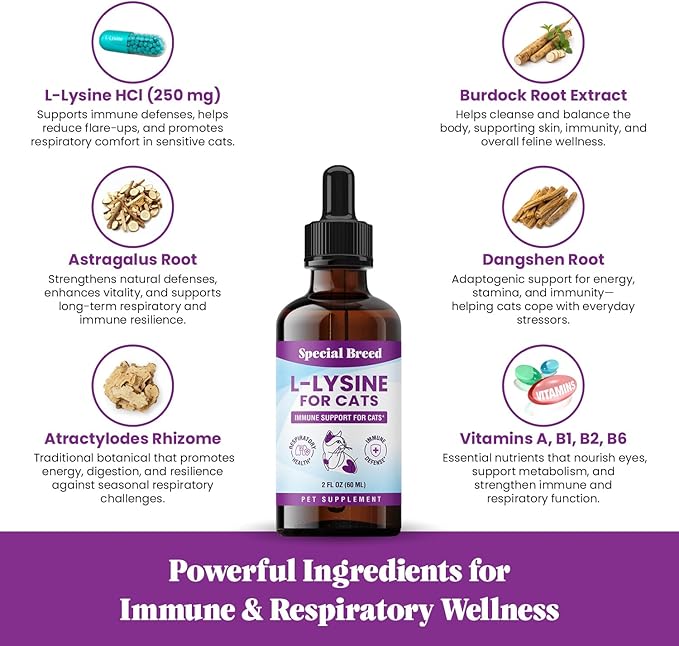 Special Breed L-Lysine for Cats & Kittens ??Immune, Respiratory & Eye Health Support ??Liquid Cat Supplement with Astragalus, Burdock, Atractylodes, Dangshen & Vitamins A, B1, B2, B6 ??2oz (60mL)