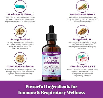 Special Breed L-Lysine for Cats & Kittens ??Immune, Respiratory & Eye Health Support ??Liquid Cat Supplement with Astragalus, Burdock, Atractylodes, Dangshen & Vitamins A, B1, B2, B6 ??2oz (60mL)
