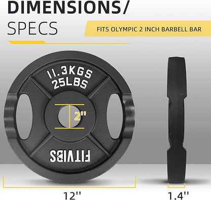 Olympic Cast Iron 2-Inch Weight Plate for Strength Training & Weightlifting, Multiple Weights Available