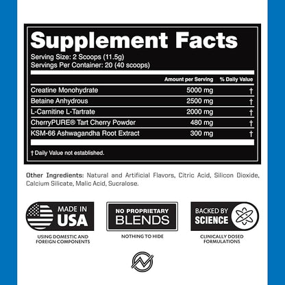 Outwork Nutrition Post Workout Recovery Powder - Creatine Monohydrate, KSM-66 Ashwagandha & Tart Cherry - Speeds Recovery, Eases Soreness - Creatine Powder for Men & Women, Berry Splash, 240 Gr