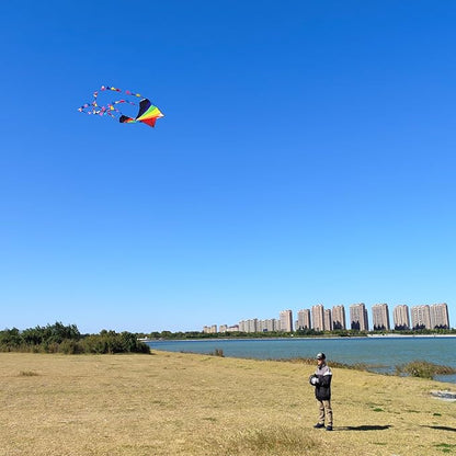 Delta Kite for Kids & Adults - Easy to Fly Large Single Line Beach Kite with 300ft String Handle Included, Perfect for Beginners, Teens