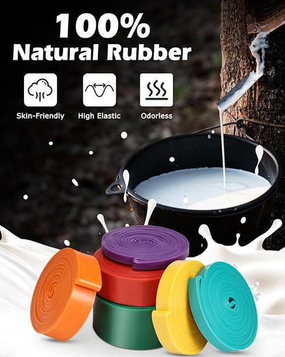 Zacro Resistance Bands, 6 Resistance Levels Pull Up Assistance Bands, Exercise Bands for Men&Women, Heavy Duty Resistance Band Set with Door Anchor, for Working Out, Muscle Training, Physical Therapy