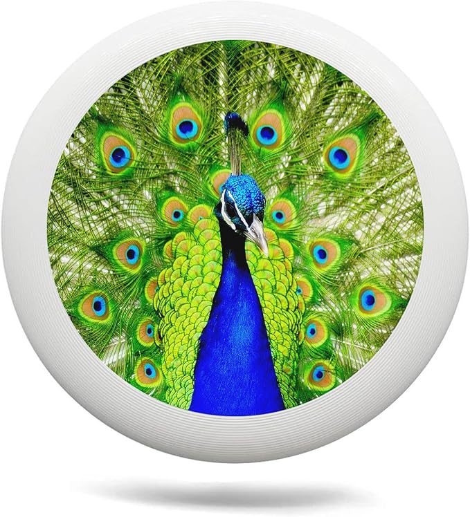 Anchor Outdoor Flying Disc Sailing Anchor Ocean Ultimate Disc 175g for Boys Girls Men Women Birthday Christmas