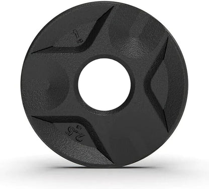Cast Iron Plate Weights by Tribe WOD- Gym Weights for Men and Women, Cast Iron Plate Weights 1 of 2, Rubber and Steel Weights for Lifting (1 Plate)