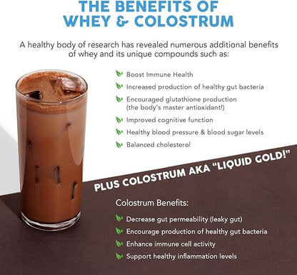 Paleovalley 100% Grassfed Whey Protein Powder with Colostrum, 13g Protein, Chocolate, Muscle Building, Immune Support, Gut Health