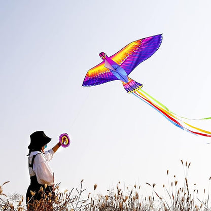 Mint’s Colorful Life Large Kite for Kids and Adults, Easy to Fly Single Line Beach Kites, Comes with 300ft String Handle