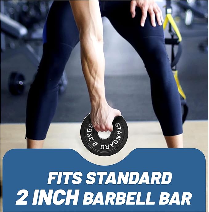 Professional-Grade Cast Iron Weight Plates | Dual-Hole Weight Plates with 2-Inch Bore | Ideal for Strength Training and Weightlifting | Multiple Weight Options Available