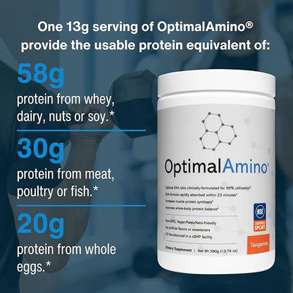 Amino Acid Powder | 99% Utilized Essential Amino Acid (EAA) Supplement | Pre/Post Workout & Muscle Recovery | NSF for Sport Certified | Tangerine Flavor