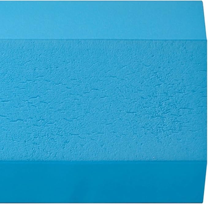 AIREX Balance Pad ??Stability Trainer for Balance, Stretching, Physical Therapy, Exercise, Mobility, Rehabilitation and Core Training Non-Slip Closed Cell Foam Premium Balance Pad