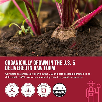 BioBeet® Beet Juice (Black Cherry Flavor) Max Strength 20x High Concentration than Beet Root Powder ??Organic, Cold-Pressed, USA Grown, Raw Form ??Nitric Oxide, Circulation Support (50 Servings)