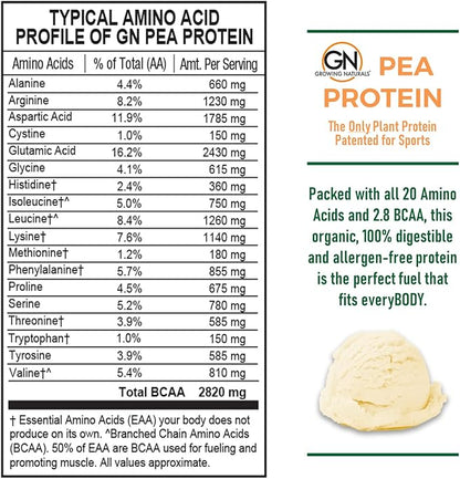 Raw Pea Protein Powder, Vegan Plant Based Protein, BCAA, Low-Carb, Low-Sugar, Vanilla Blast, 1 Pound (Pack of 1)