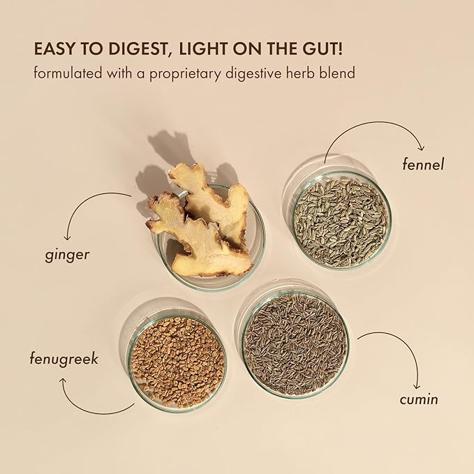 No-Nonsense Plant Protein, 21g Organic Brown Rice & Pea Isolate, Plant Based, Vegan, Gluten/Dairy Free, Sugar Free, Mint Cacao, 1.1lb (1pk, 13 Servings)