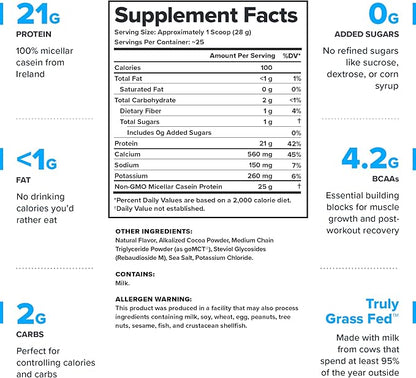 LEGION Casein Protein Powder (Dutch Chocolate) - Slow-Release Micellar Casein Protein Powder - Non-GMO, Gluten-Free & Naturally Sweetened Powder from Grass-Fed Cows (25 Servings)