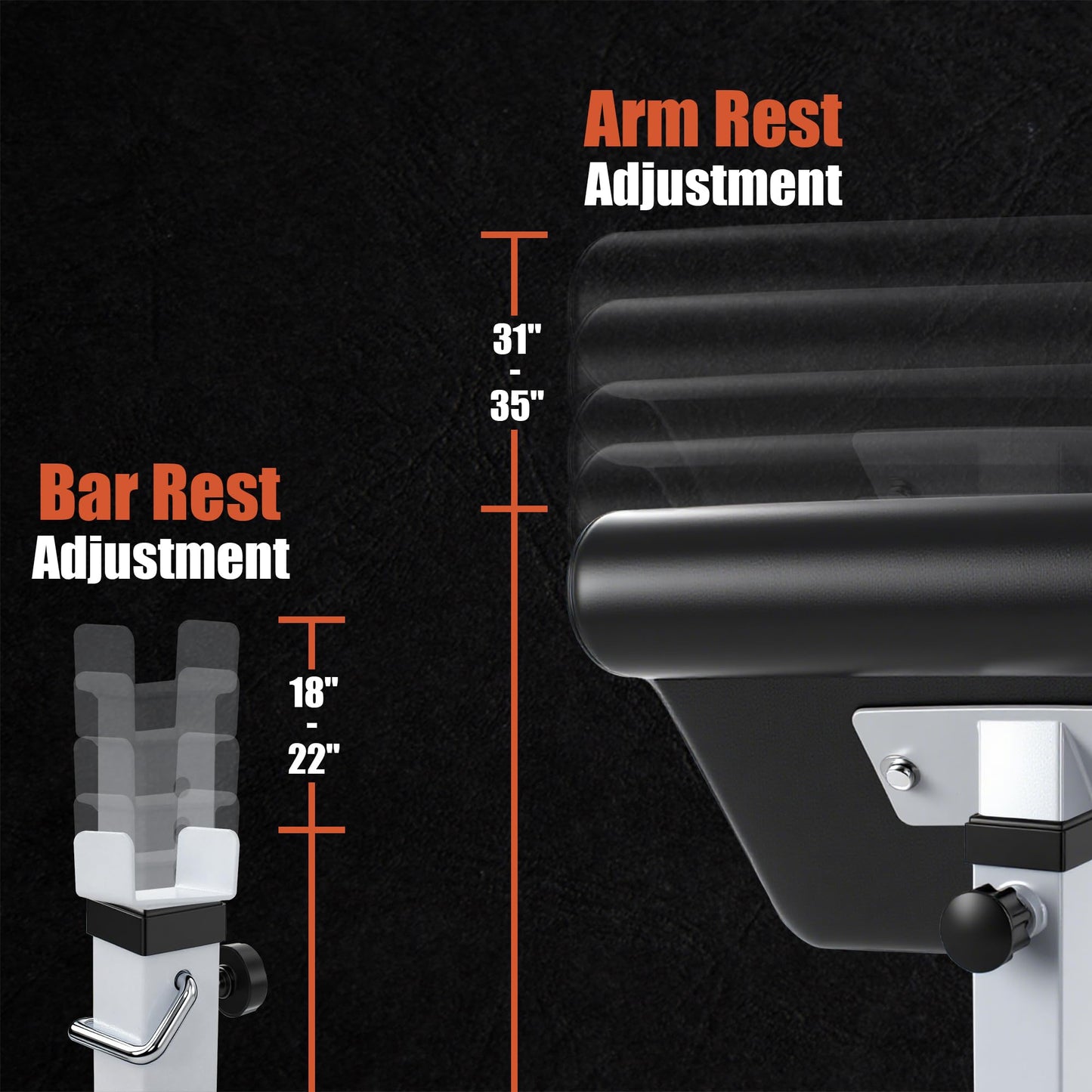 BBBuy Adjustable Arm Preacher Curl Bench Bicep Strengh Bench Seated Strenghthen Training Isolated