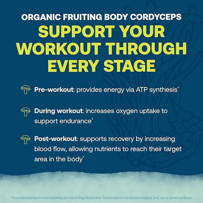 True Grace ElectroMag - 16 Stick Packs - Lemon Lime - Electrolyte Powder for Rapid Hydration - Sodium, Potassium, Magnesium & Cordyceps - Zero Sugar & Carbs - Non-GMO - 16 Total Servings