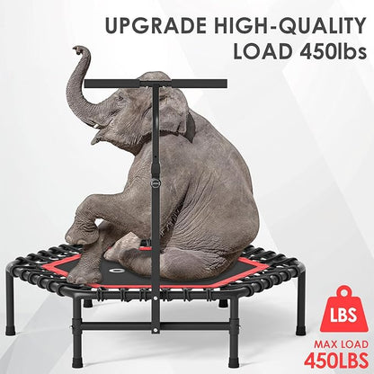 CLORIS 45'' Rebounder Trampoline for Adults - Max Load 450lbs, Mini Trampoline with Adjustable Foam Handle Indoor/Outdoor Fitness Body Exercise