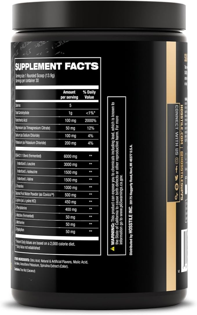 HOSSTILE SILO[9] Essential Amino Acids, EAA & BCAA Powder, Electrolyte Hydration Support, Enhance Muscle Growth & Recovery, Pre or Post Workout Drink, Blueberry Lemonade, 30 Servings