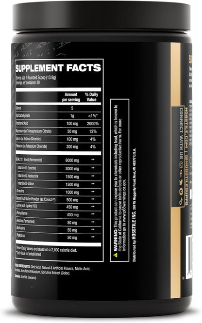 HOSSTILE SILO[9] Essential Amino Acids, EAA & BCAA Powder, Electrolyte Hydration Support, Enhance Muscle Growth & Recovery, Pre or Post Workout Drink, Blueberry Lemonade, 30 Servings