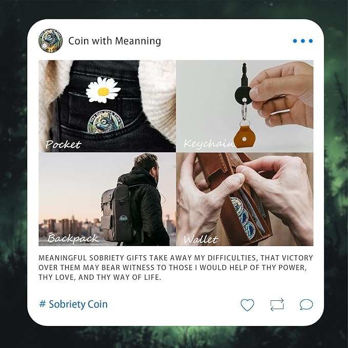 One Day at a Time 10 Year Sobriety Coin - Recovery Aurora Forest Wolf AA Coins - Addiction NA AA Chips and Medallions - Celebrate 1-20 Living Clean Narcotics Alcoholics Anonymous Gifts for Men Women
