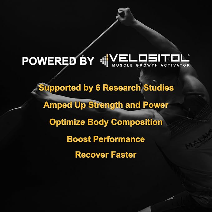 Vegan Sport Protein Powder Chocolate 20 servings ??30g Plant Based Protein, VELOSITOL, BCAAs, Organic Greens & Fruits, Probiotics, Tart Cherry for Post Workout Recovery, Inform Sports Certified Keto