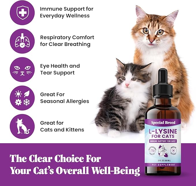 Special Breed L-Lysine for Cats & Kittens ??Immune, Respiratory & Eye Health Support ??Liquid Cat Supplement with Astragalus, Burdock, Atractylodes, Dangshen & Vitamins A, B1, B2, B6 ??2oz (60mL)