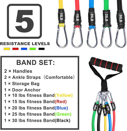 Resistance Bands Set, Workout Bands with Handles, Door Anchor, Ankle Straps and Carry Bag, Exercise Bands for Shape Body and Home Workouts