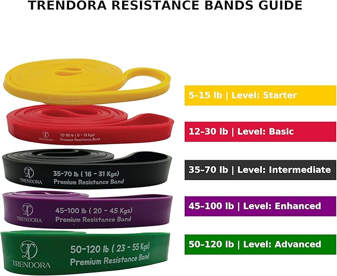 Premium Resistance Bands Set of 5, Exercise Bands, Workout Bands Set for Working Out with Handles for Men Women- Includes 2 Handles,2 Hooks,Storage Bags