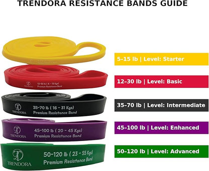 Premium Resistance Bands Set of 5, Exercise Bands, Workout Bands Set for Working Out with Handles for Men Women- Includes 2 Handles,2 Hooks,Storage Bags