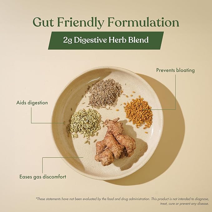 No Nonsense Plant Protein | Organic Brown Rice & Pea Isolate | Easy Digestion | 24G Protein/Serving | Gluten & Lactose Free | (Chikmagalur Mocha, 500g)