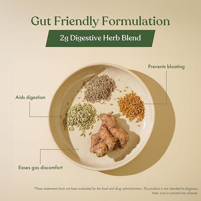 No Nonsense Plant Protein | Organic Brown Rice & Pea Isolate | Easy Digestion | 24G Protein/Serving | Gluten & Lactose Free | (Chikmagalur Mocha, 500g)