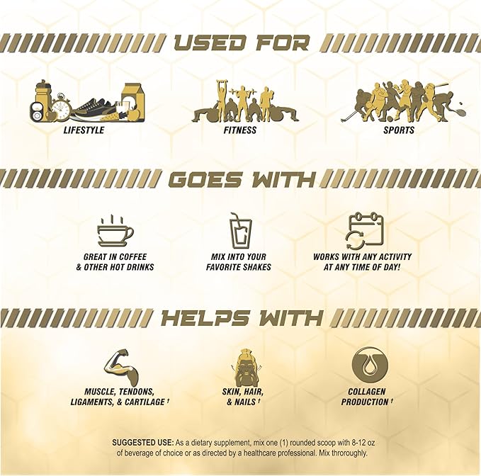 FXSUPPS Iso-Fx Whey Isolate Protein Powder Chocolate Flavored Drink | Low Carb with BCAAs | Post Workout Recovery Supplement Mix for Men and Women | Boosts Strength and Muscle Growth (2 Pounds)