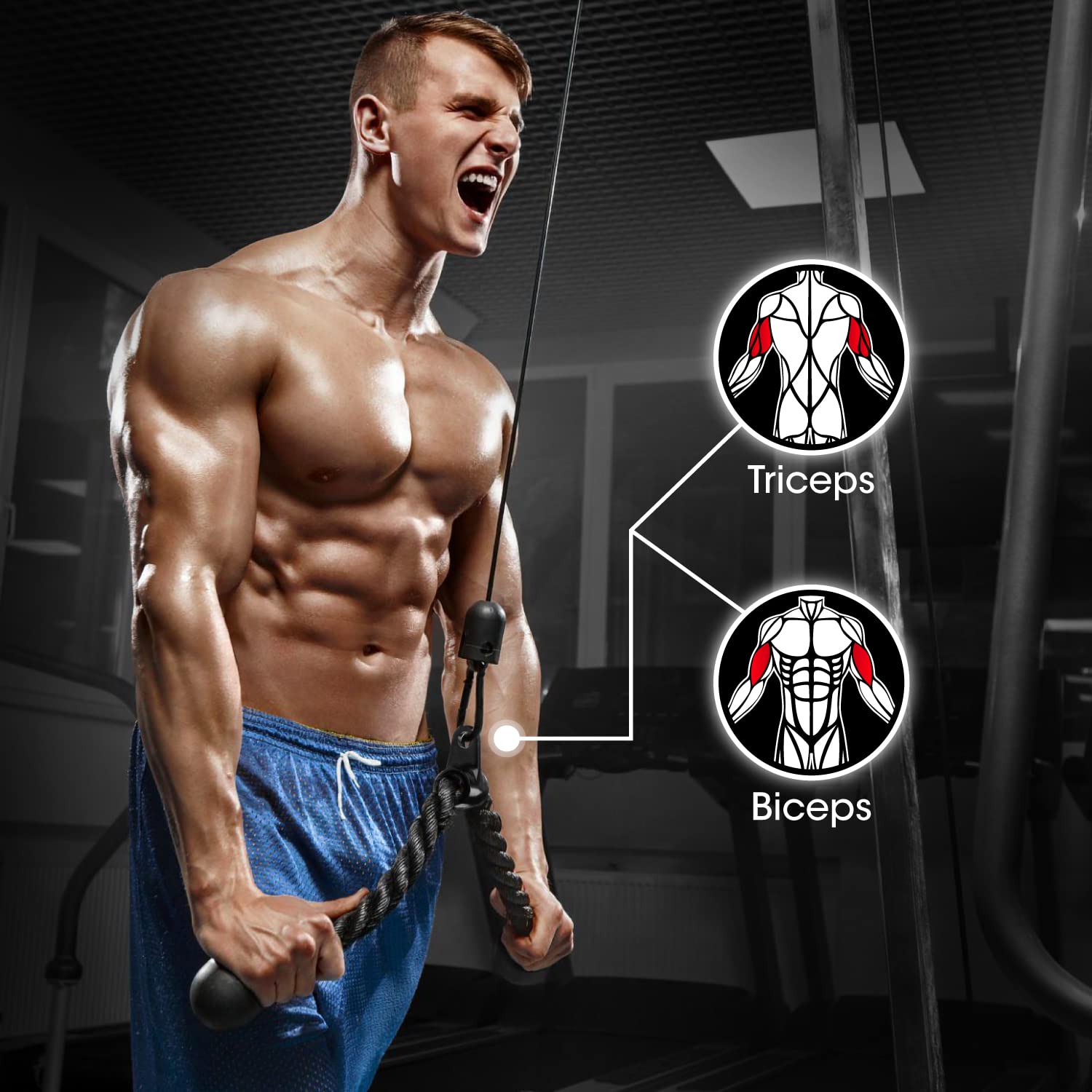 Yes4All Combo Double D Handle, Tricep Rope, Straight Bar & V Bar, Multi Cable Machine Accessories