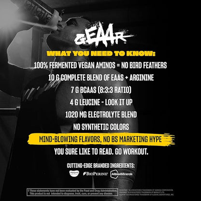 Mutant GEAAR - 9.4g of EAA Powder + Arginine, 7g BCAAs, 4g Leucine, Electrolytes, Coconut Water, 30 Servings - Blue Raspberry