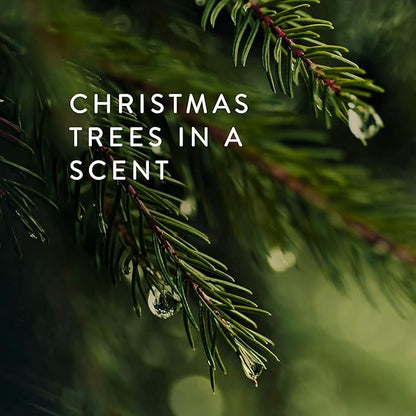 Thymes Frasier Fir Scented Candles for Home Decor - Green Pillar Candles for Women & Men - Place on Candle Holder - Luxury Home Fragrance Gifts - Small (3" x 3" Pillar)