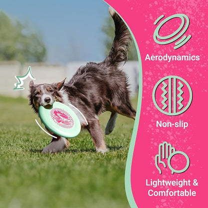 Wham-O Frisbee Go Flying Disc, 9 Inch Lightweight Sports Disc for Beginners Outdoor Beach Backyard Lawn Park Camping Family Activity Game - 70g