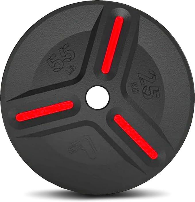 Cast Iron Plate Weights by Tribe WOD- Gym Weights for Men and Women, Cast Iron Plate Weights 1 of 2, Rubber and Steel Weights for Lifting (1 Plate)