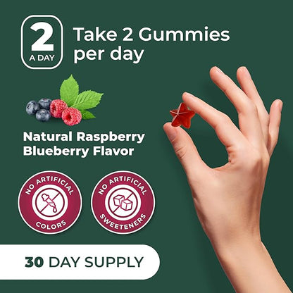 PurePremium Beet Root Gummies - 60 Sugar Free Chews (50:1 Equivalent 1500 mg) - Super Nitric Oxide Beetroot Gummies | Natural Blueberry Flavor - Supplements for Normal Blood Pressure