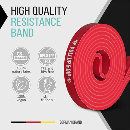 PULLUP & DIP Fitness Bands, Resistance Bands with Bag, Door Anchor (with Sets) and Exercise Guide - Single & in Value Set, Pull-Up Band Fitness Band for Calisthenics