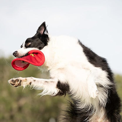 Nerf Dog Nylon Flyer Dog Toy, Flying Disc, Lightweight, Durable and Water Resistant, Great for Beach and Pool, 9 inch diameter, for Medium/Large Breeds, Single Unit, Red