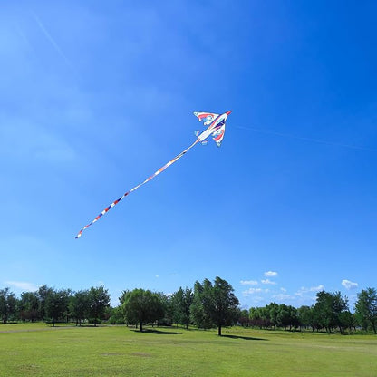 Delta Kite for Kids & Adults - Easy to Fly Large Single Line Beach Kite with 300ft String Handle Included, Perfect for Beginners, Teens