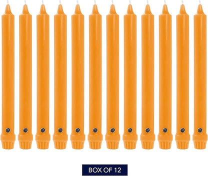 Colonial Candle Unscented Taper Candle, Classic Collection, Caramel, 12 in, Pack of 12 - Up to 10 Hours Burn