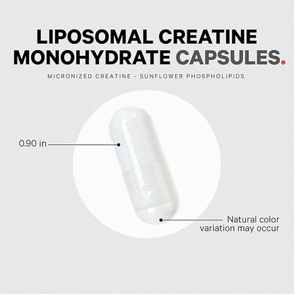 Codeage Liposomal Creatine Monohydrate Supplement, Pure Creatine 2500mg - 3 Months Supply, Micronized, Creatinine Muscles Sports Nutrition and Athletes, Non-GMO - 360 Capsules