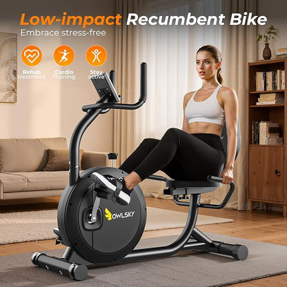 OWLSKY Recumbent Exercise Bike for Home Gym, Magnetic Stationary Bike with 16-Level Resistance, Quiet 15LBS Flywheel, 400LBS Capacity, Low-Impact Cardio & Physical Therapy