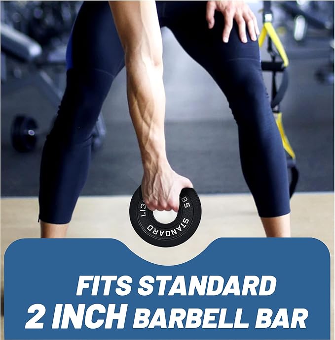 Professional-Grade Cast Iron Weight Plates | Dual-Hole Weight Plates with 2-Inch Bore | Ideal for Strength Training and Weightlifting | Multiple Weight Options Available