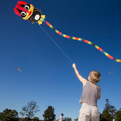 Duck Pattern Kites for Kids, Cute Large Kite Duck Kite with Long Colorful Tail for Kids & Adults, Easy to Fly Kite for Beginners Outdoor Activities