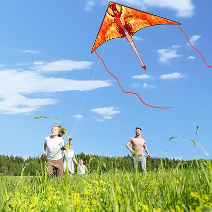 Kite for Kids 4-8 & 8-12, Delta Kites for Kids & Adults Easy to Fly, Huge Dragon Kites for Beginner, Beach Trip Park Family Outdoor Games and Activities