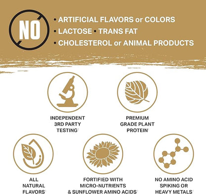 Ambrosia Planta - Premium Plant-Based Protein | Vegan & Keto Friendly | Gourmet Flavors with No Bloating or Stomach Upset | Gluten & Soy Free | No Added Sugar | 25 Servings | Cookies Cream