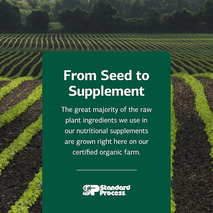 Standard Process Inc. Whey Pro Complete - Whole Food Immune Support with Colostrum, Chicory Root and Whey Protein Powder - 21 Ounce, 25 Servings